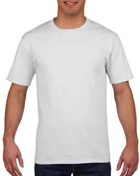 Футболка мужская GI4100 PREMIUM COTTON белая 17631 фото